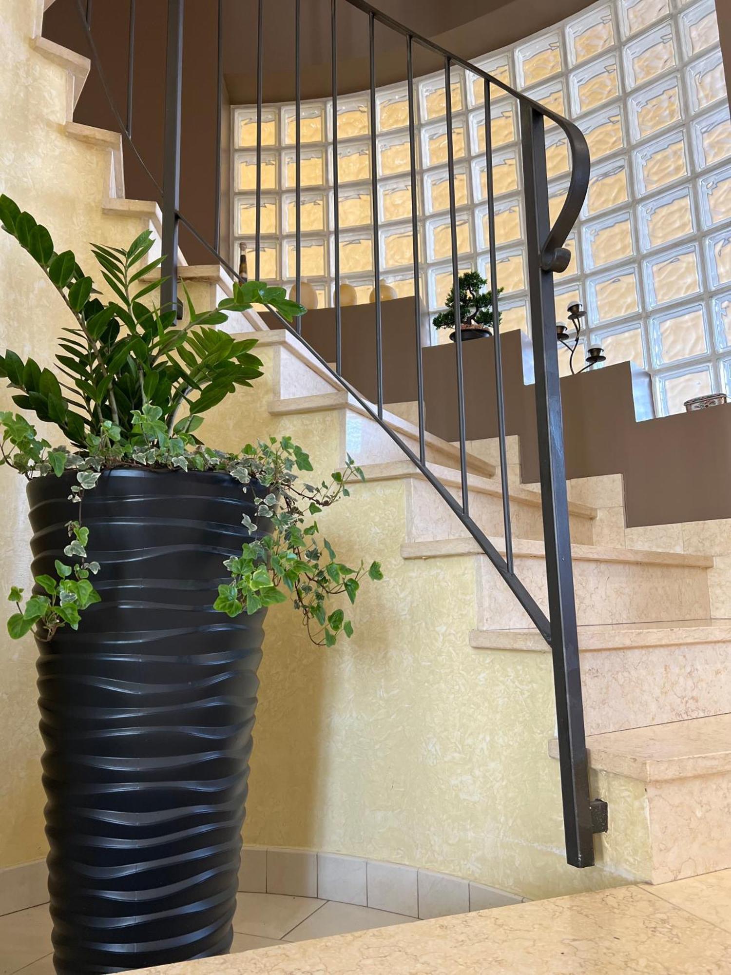 Casa I Cedri Appartement Borgo San Dalmazzo Buitenkant foto
